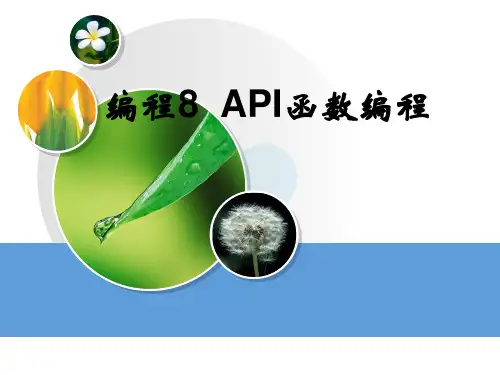 《计算机编程基础visual basic》模块8  API函数编程