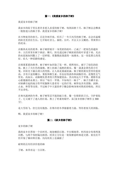 家乡的柿子树作文300字
