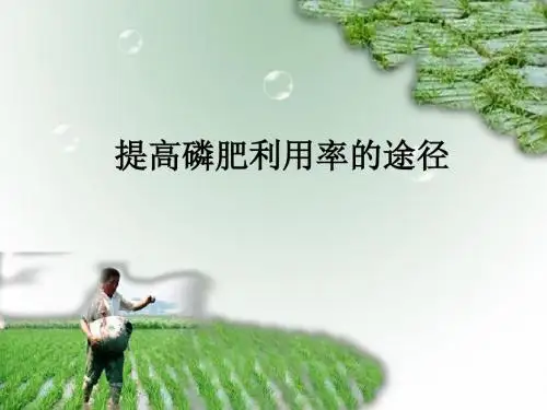 土壤磷状况与磷肥的分配