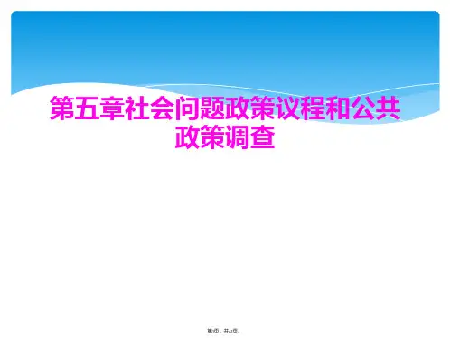 第五章社会问题政策议程和公共政策调查