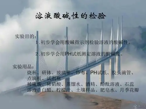 人教版 九年级化学 下册10.1 溶液酸碱性的检验( 10 张PPT)