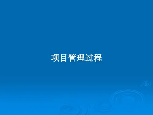 项目管理过程PPT教案