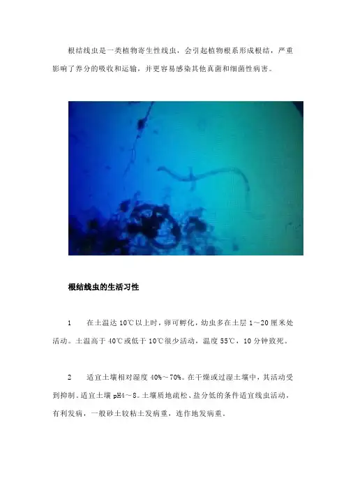 黑线光——开创生物菌剂杀线虫新时代!