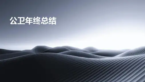 公卫年终总结PPT