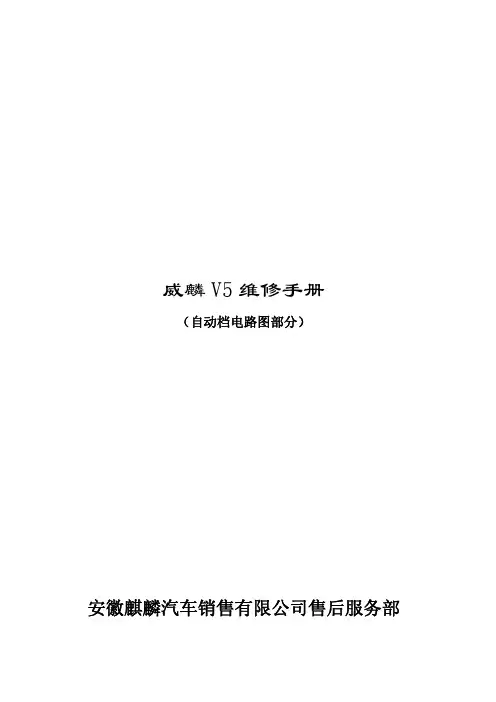 2009奇瑞威麟V5自动档电路图