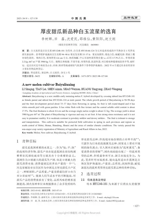 厚皮甜瓜新品种白玉流星的选育