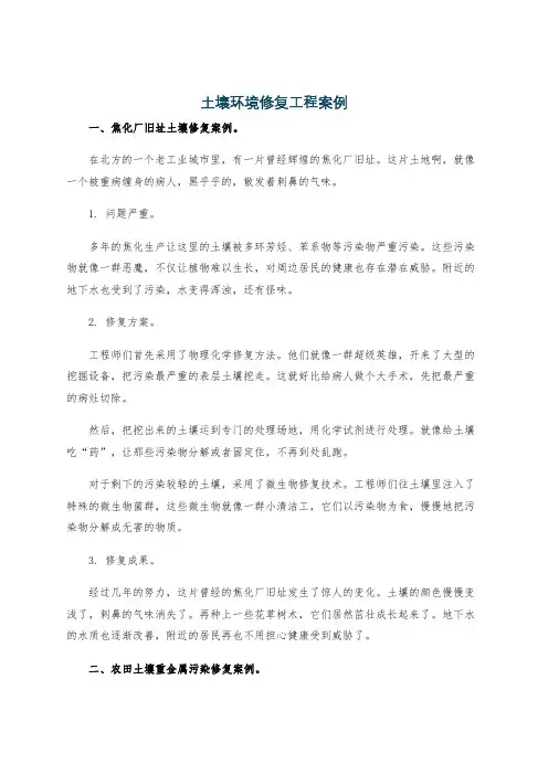 土壤环境修复工程案例