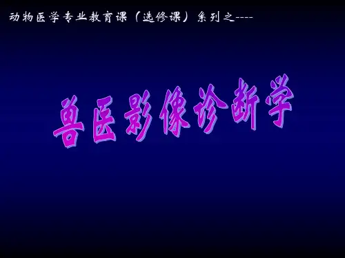 兽医影像学 影像学技术--超声诊断的应用