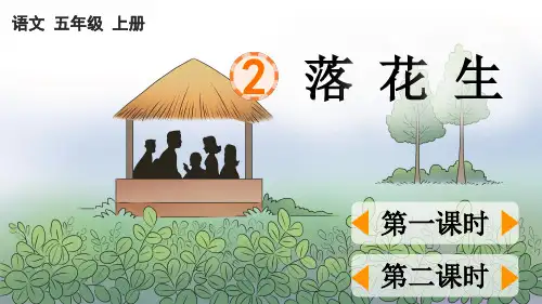 统编版五年级上册语文《 落花生》【优质版】PPT课件(完整版)