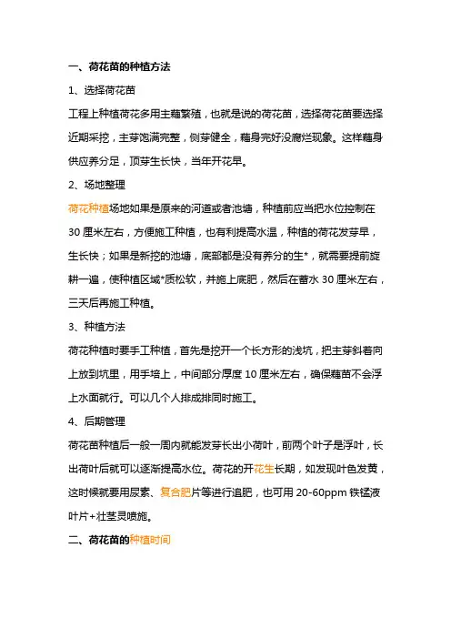 荷花种植方法和时间