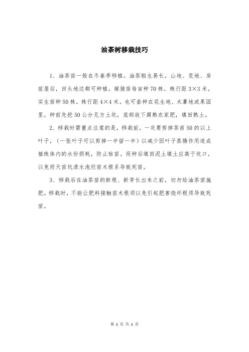 油茶树移栽技巧