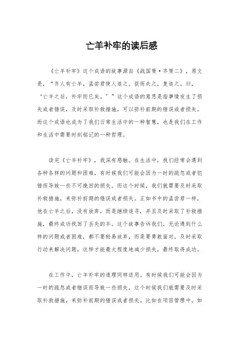 亡羊补牢的读后感