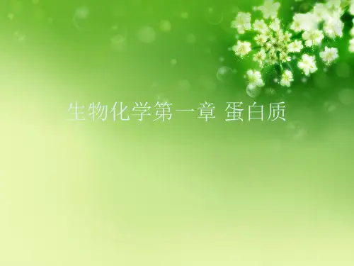 生物化学第一章 蛋白质优秀课件
