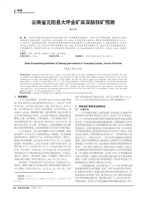 云南省元阳县大坪金矿床深部找矿预测