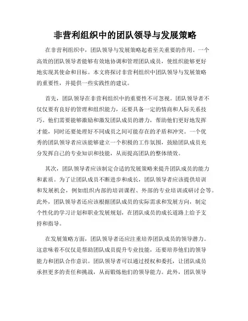  非营利组织中的团队领导与发展策略