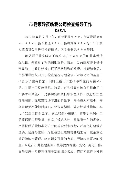 市县领导莅临我公司检查指导工作