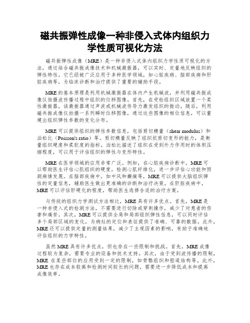 磁共振弹性成像一种非侵入式体内组织力学性质可视化方法