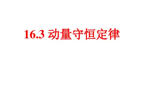 16.3动量守恒定律 (共16张PPT) 人教版