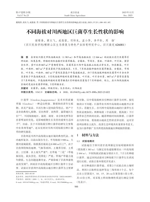 不同海拔对川西地区巨菌草生长性状的影响