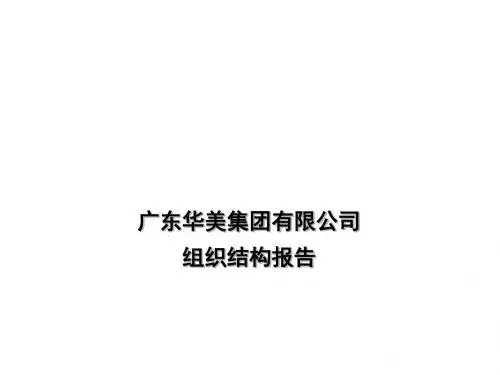 广东华美集团组织分析与设计报告