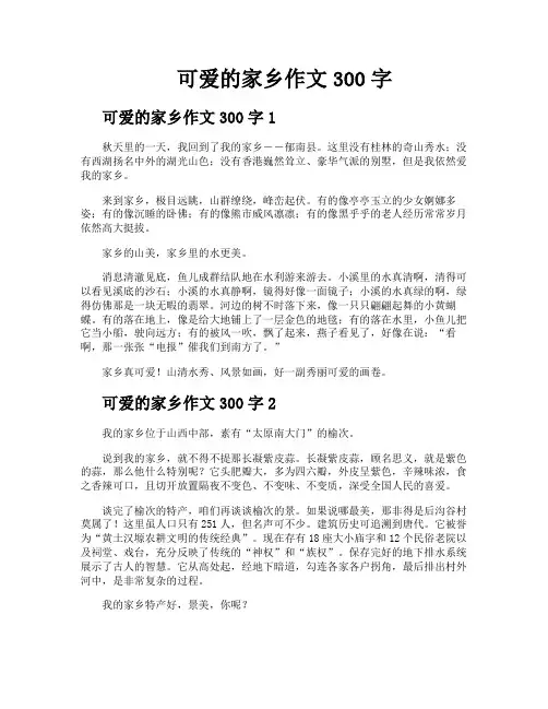 可爱的家乡作文300字