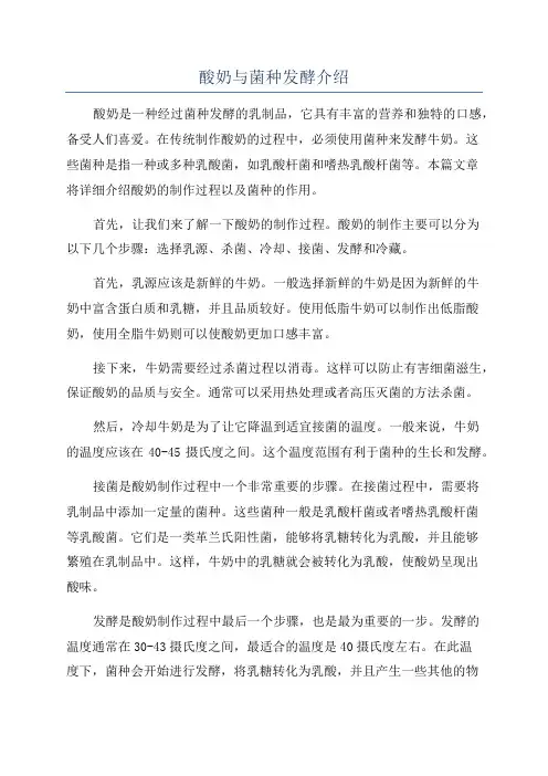 酸奶与菌种发酵介绍