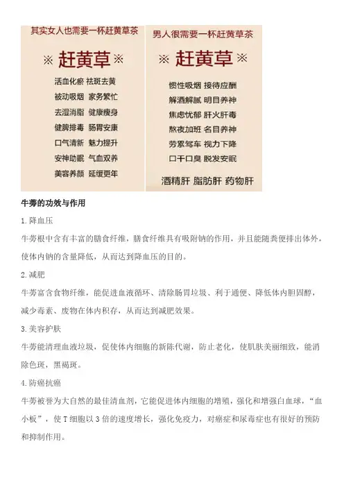 牛蒡的功效与作用