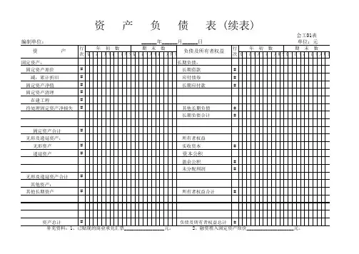 资产负债表(续表)