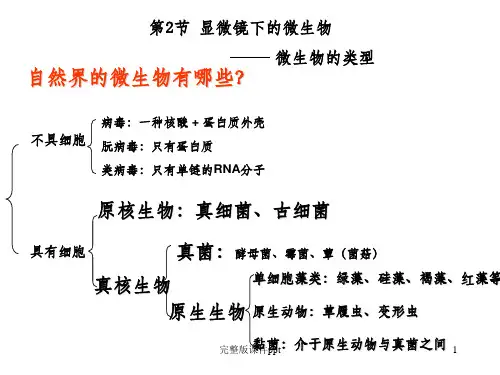 《显微镜下的微生物》PPT课件