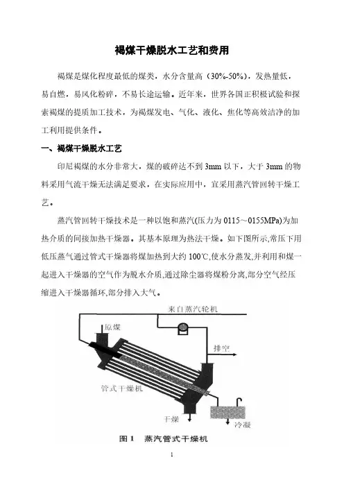 褐煤脱水工艺和投资