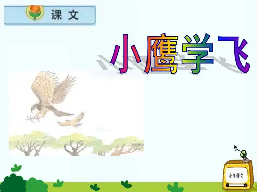 苏教版二年级语文上册《小鹰学飞》