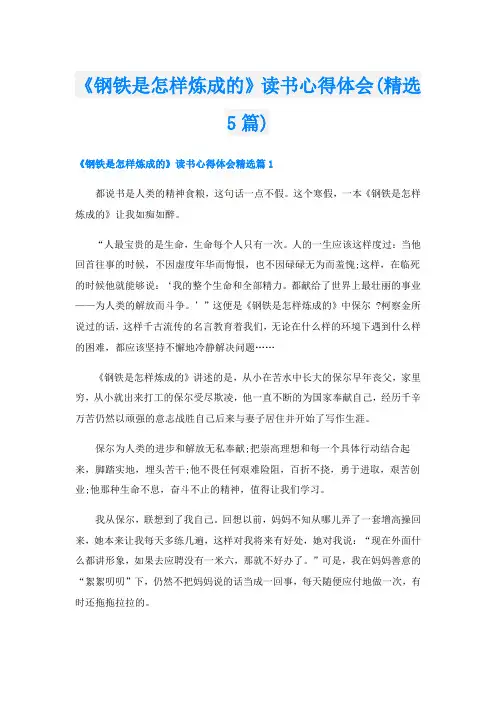 《钢铁是怎样炼成的》读书心得体会(精选5篇)