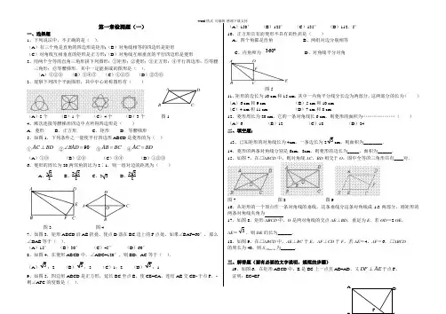北师大版数学九年级上册第一章测试卷