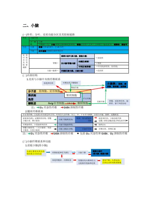 系统解剖神经系统笔记-3.小脑及间脑