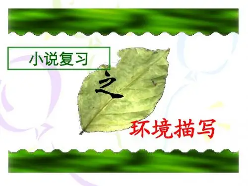 高考小说复习之环境描写