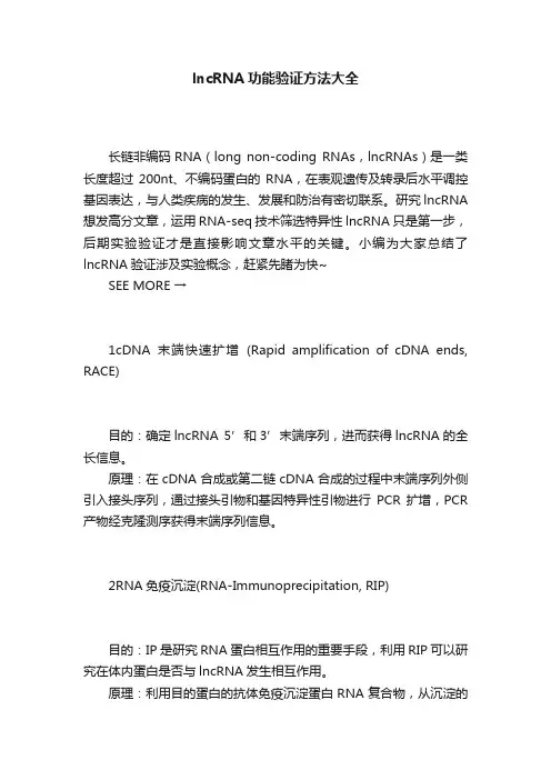 lncRNA功能验证方法大全
