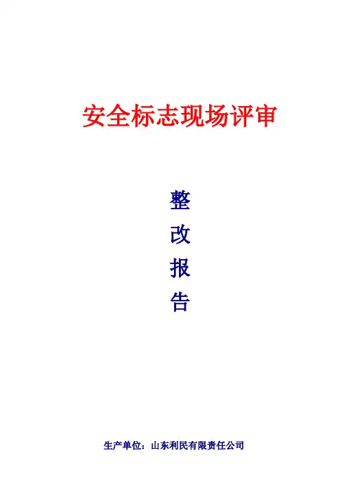 矿用产品安全标志现场评审整改报告