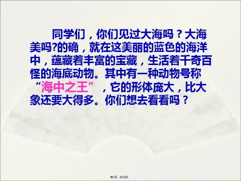 9.《鲸》ppt实用完美版