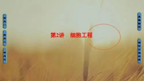 2018高三生物一轮复习课件选修3 第2讲 细胞工程 精品