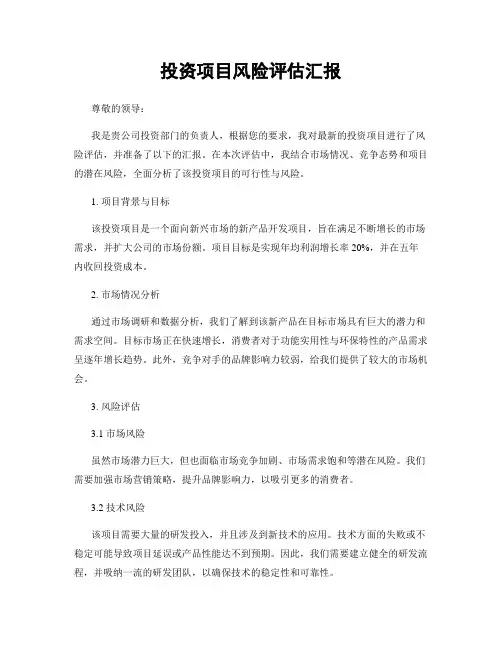 投资项目风险评估汇报