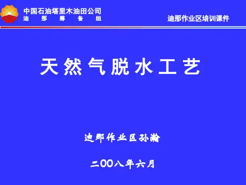 21、天然气脱水工艺(29张幻灯片)解析