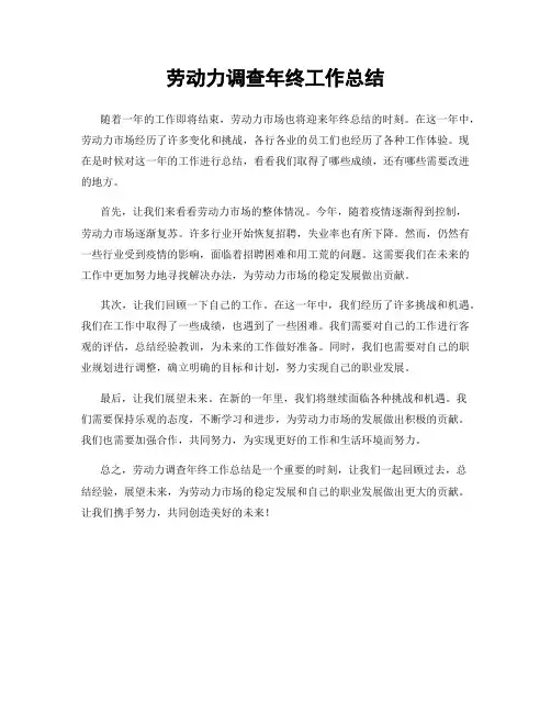 劳动力调查年终工作总结