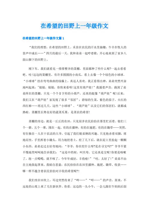 在希望的田野上一年级作文