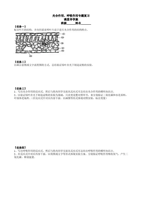 光合、呼吸作用课堂学案
