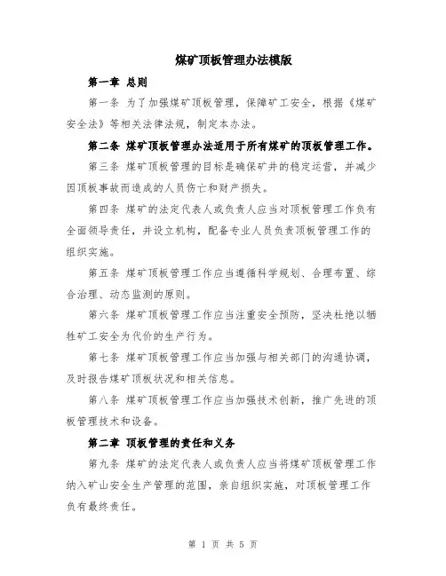 煤矿顶板管理办法模版