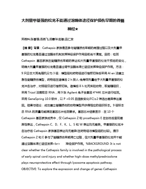 大剂量甲基强的松龙不能通过溶酶体途径保护损伤早期的脊髓神经★