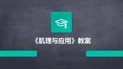 《肌理与应用》教案