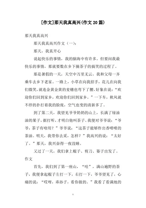 [作文]那天我真高兴(作文20篇)