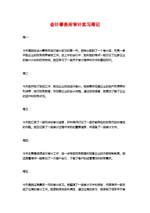 会计事务所审计实习周记