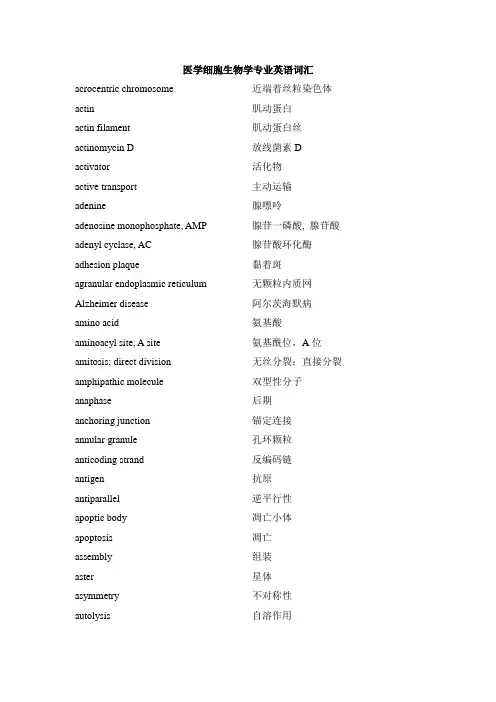 医学细胞生物学英文词汇翻译